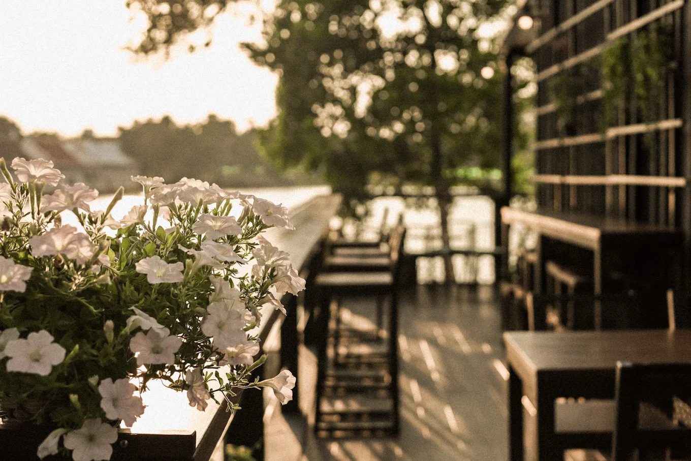 Prodepran Restaurant & Bar