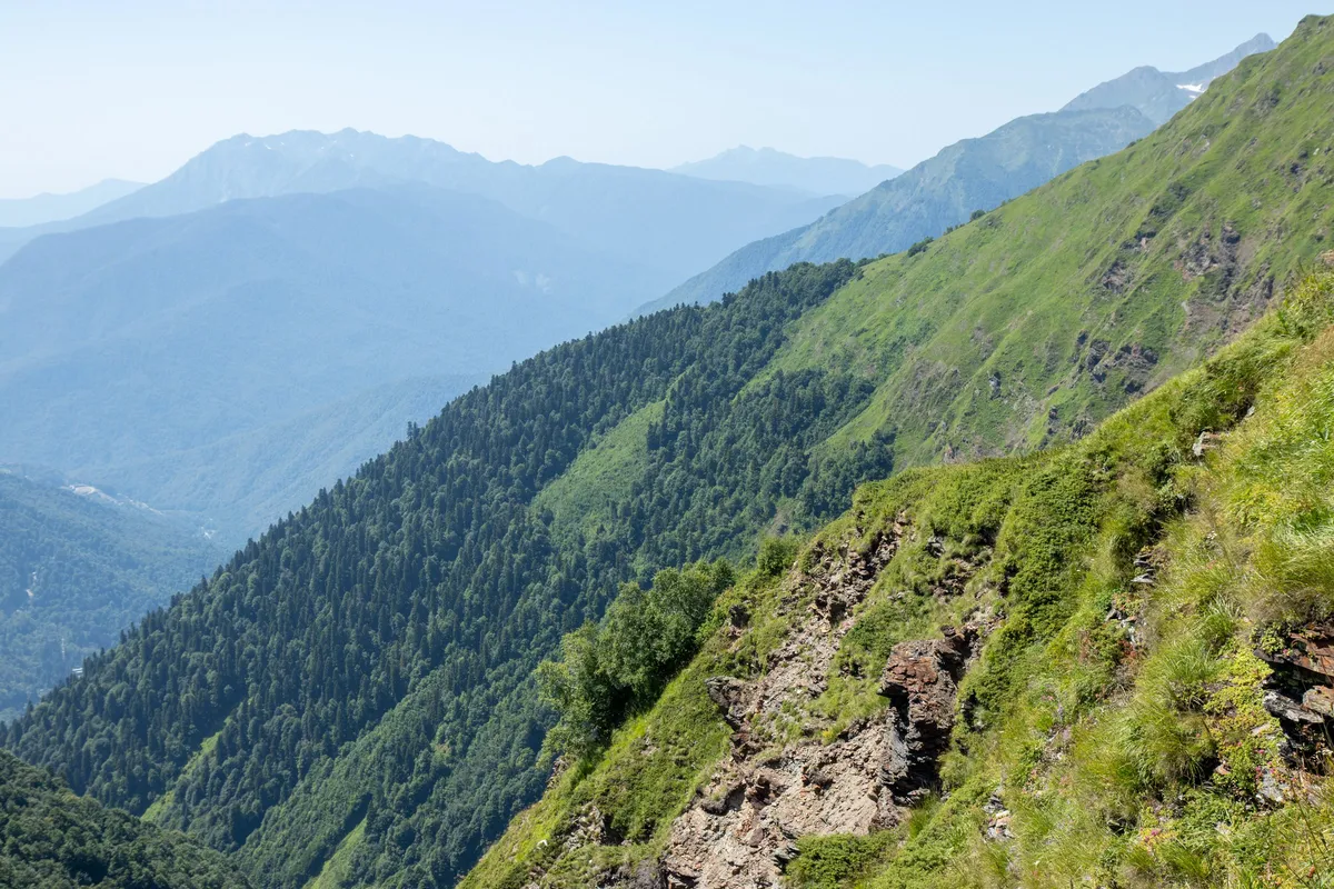 КП Эста