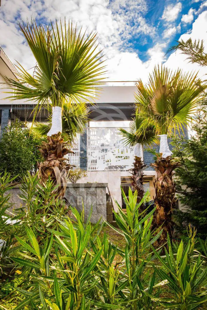 House 800 m² · Khosta