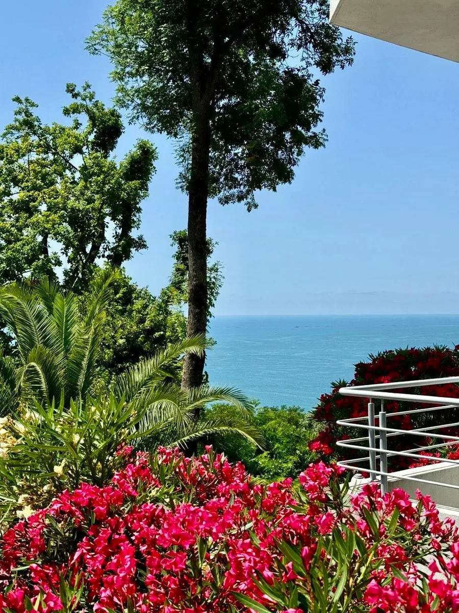 House 550 m² · Khosta