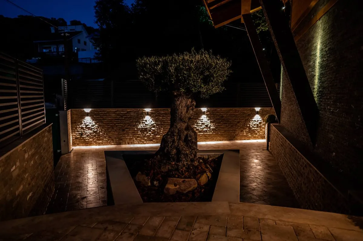 House 180 m² · Vasilyevka