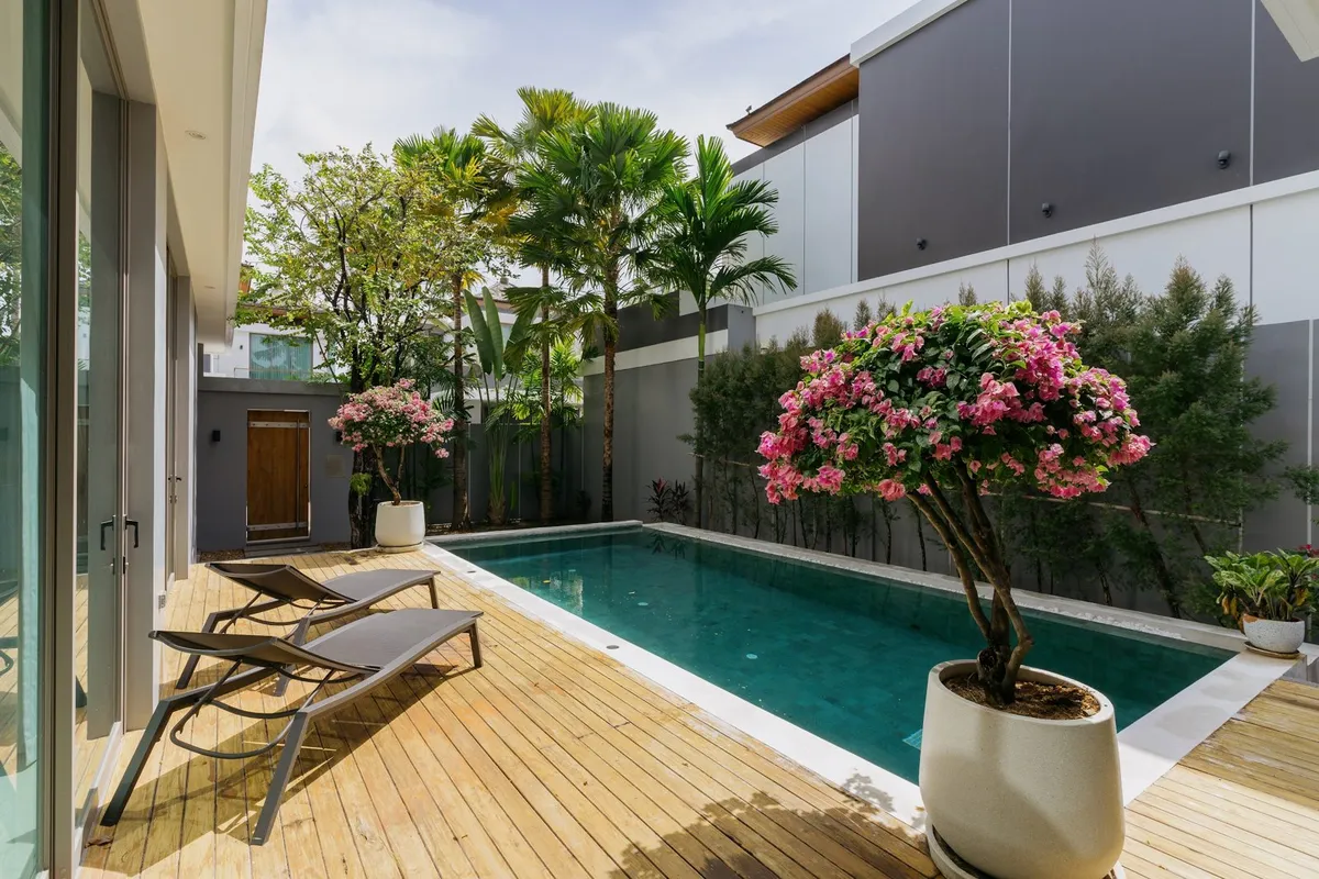 Teak Phase 1